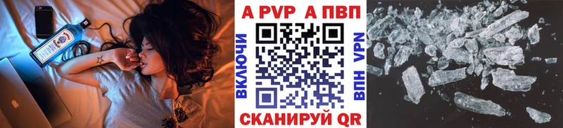 Купить  Судак  APVP VHQ 