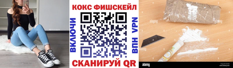 Купить  Судак  COCAIN Columbia 
