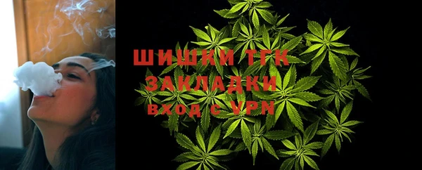 эйфоретик Михайлов