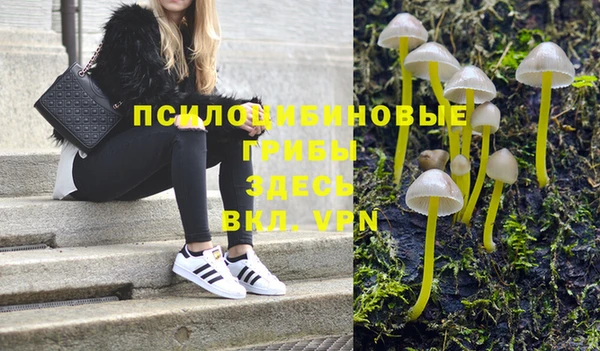 эйфоретик Михайлов
