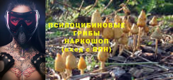 эйфоретик Михайлов