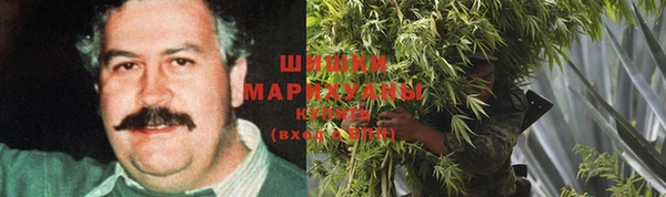эйфоретик Михайлов