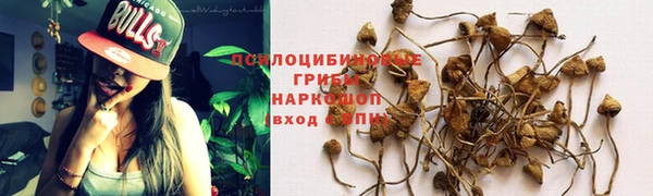 эйфоретик Михайлов