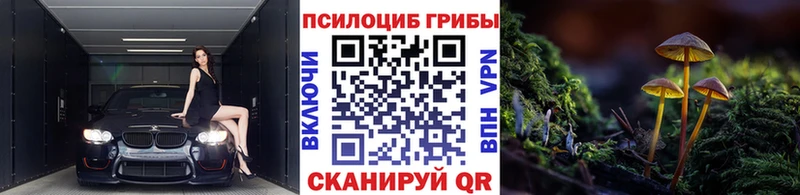 Псилоцибиновые грибы мицелий  Купить где  Судак 